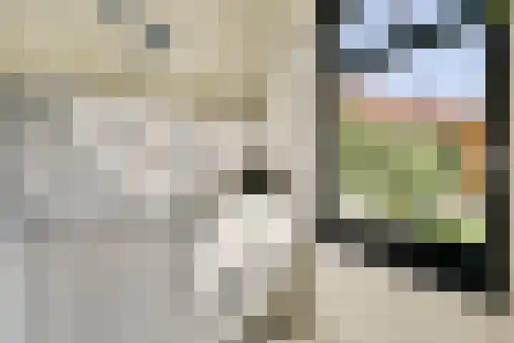 Ranonkelkade 8 A Amsterdam thumbnail 6