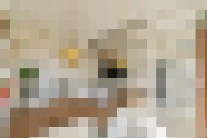 Ranonkelkade 8 A Amsterdam thumbnail 8