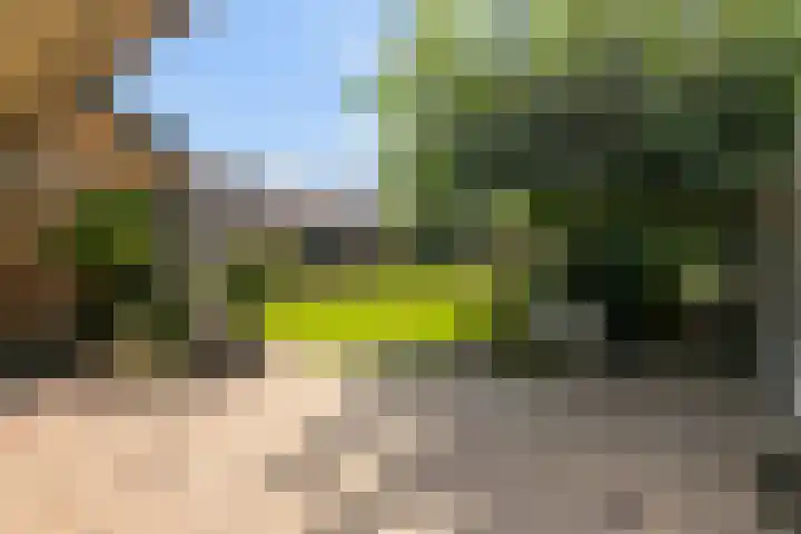 Ranonkelstraat 16 Didam thumbnail 13