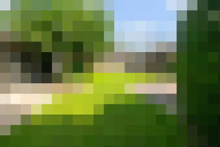 Ranonkelstraat 16 Didam thumbnail 14