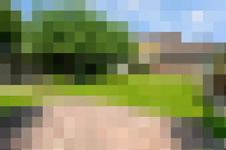 Ranonkelstraat 16 Didam thumbnail 15