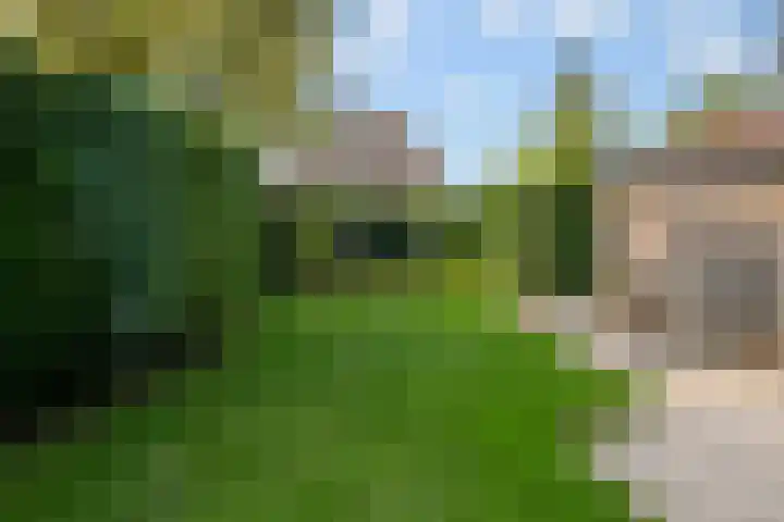 Ranonkelstraat 16 Didam thumbnail 16