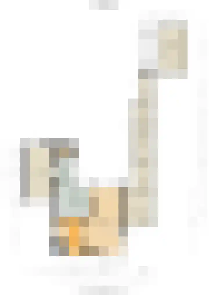 Ranonkelstraat 16 Didam thumbnail 31