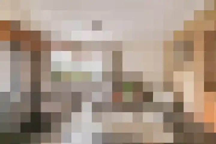 Ranonkelstraat 16 Didam thumbnail 4