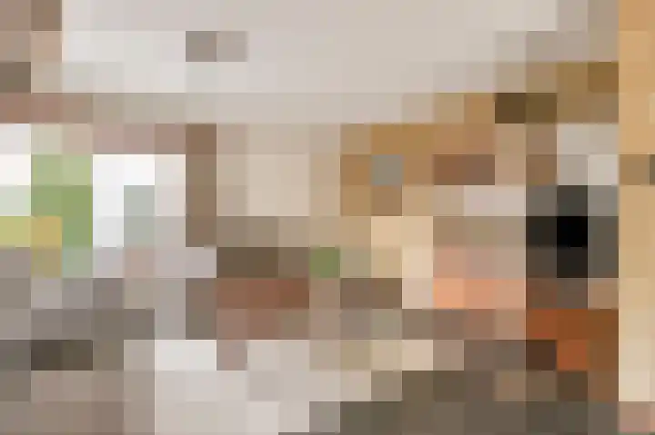 Ranonkelstraat 16 Didam thumbnail 5