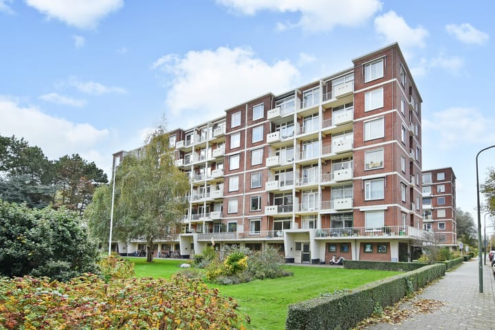 Ranonkelstraat 171 in 's-Gravenhage foto