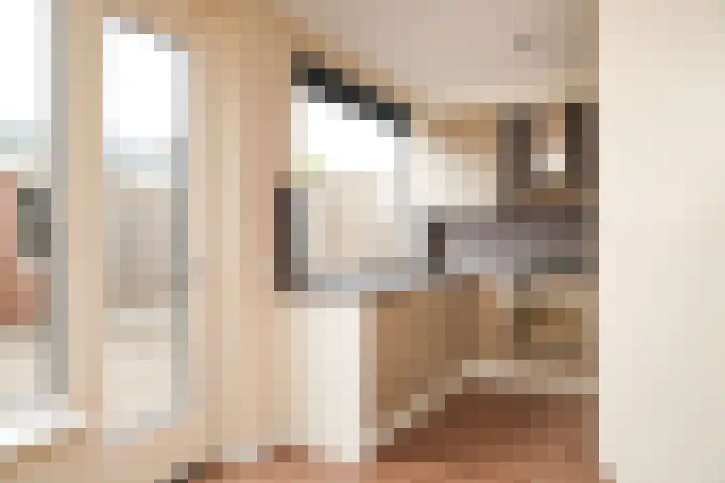 Ranonkelstraat 22 Heteren thumbnail 10