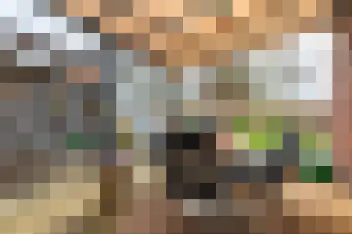 Ranonkelstraat 29 Sappemeer thumbnail 29
