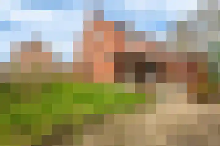 Ranonkelstraat 29 Sappemeer thumbnail 31