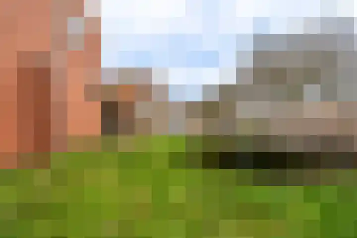 Ranonkelstraat 29 Sappemeer thumbnail 32