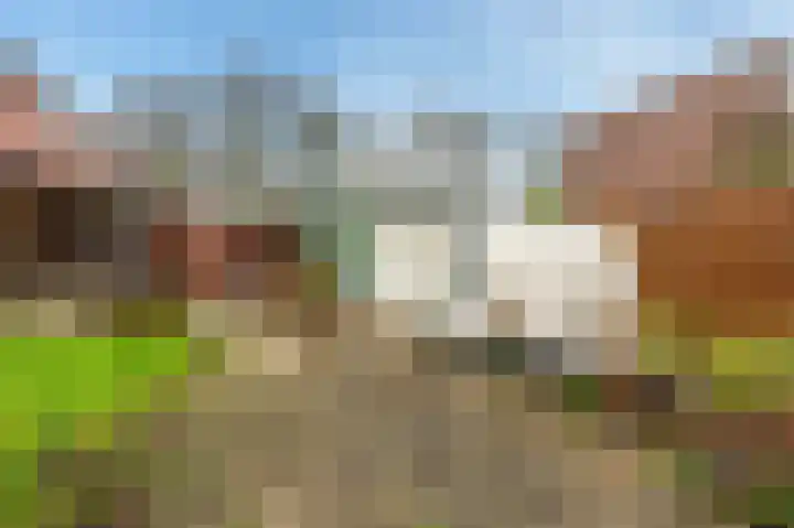 Ranonkelstraat 29 Sappemeer thumbnail 33