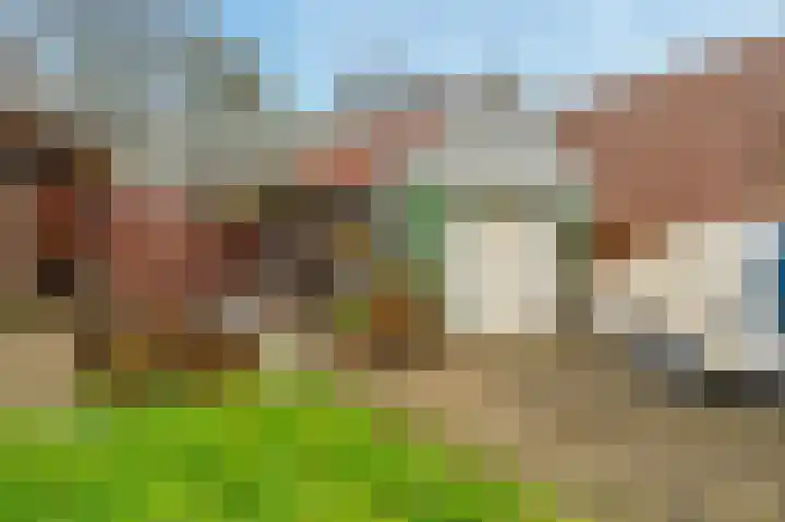 Ranonkelstraat 29 Sappemeer thumbnail 34