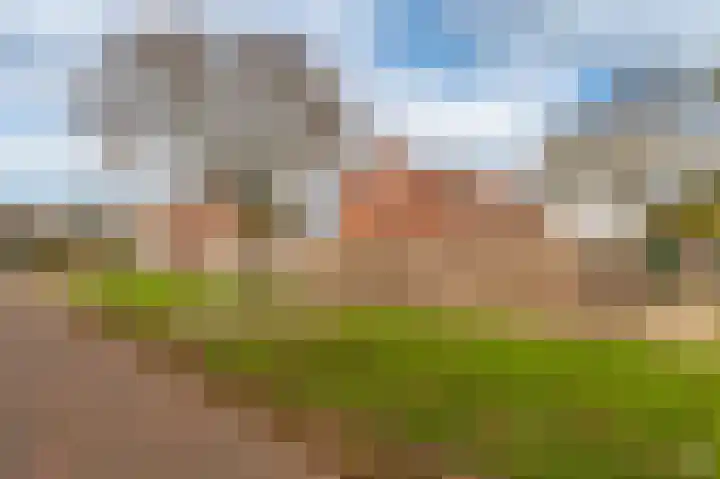 Ranonkelstraat 29 Sappemeer thumbnail 35