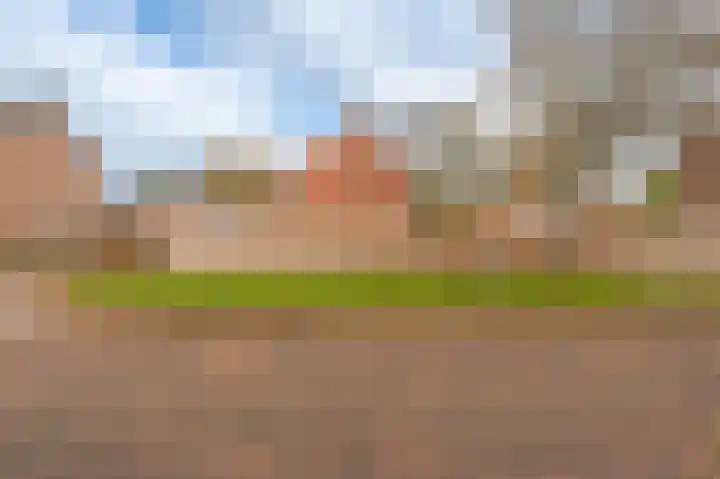 Ranonkelstraat 29 Sappemeer thumbnail 36