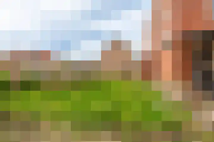 Ranonkelstraat 29 Sappemeer thumbnail 5