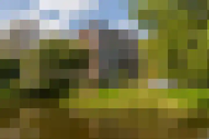 Ranonkelstraat 3 in Den Haag