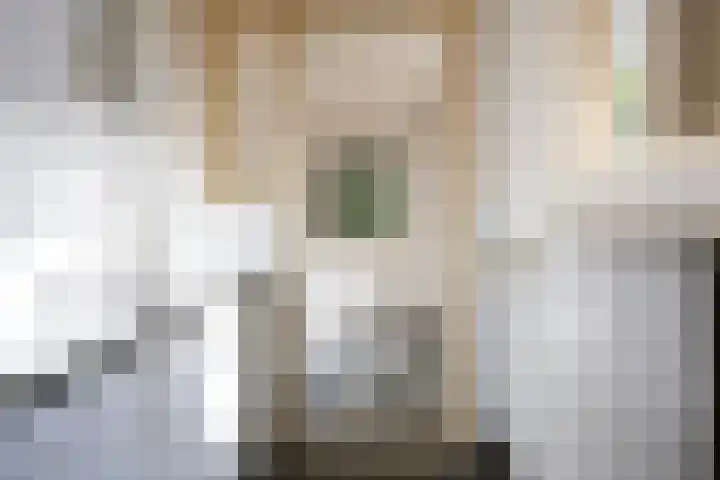 Ranonkelstraat 30 Eindhoven thumbnail 12