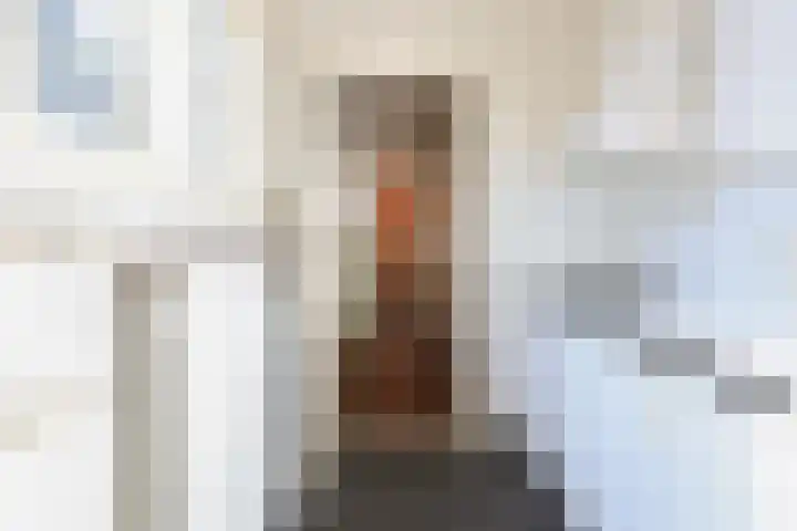 Ranonkelstraat 30 Eindhoven thumbnail 13