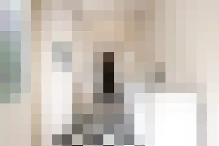 Ranonkelstraat 30 Eindhoven thumbnail 15