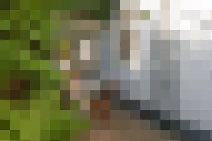 Ranonkelstraat 30 Eindhoven thumbnail 16