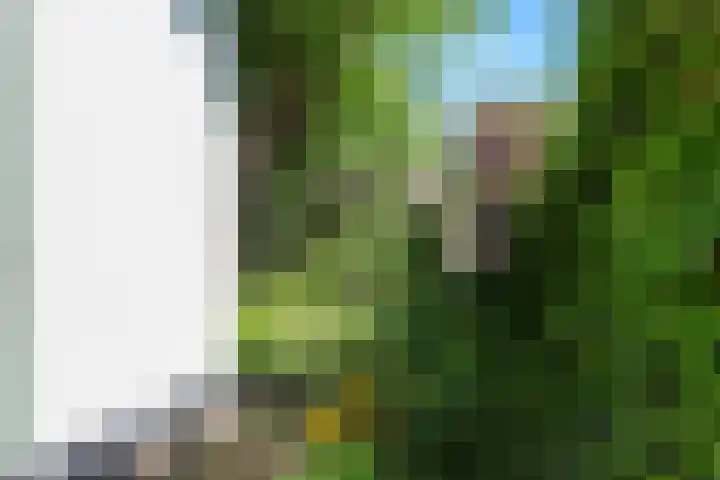 Ranonkelstraat 30 Eindhoven thumbnail 17