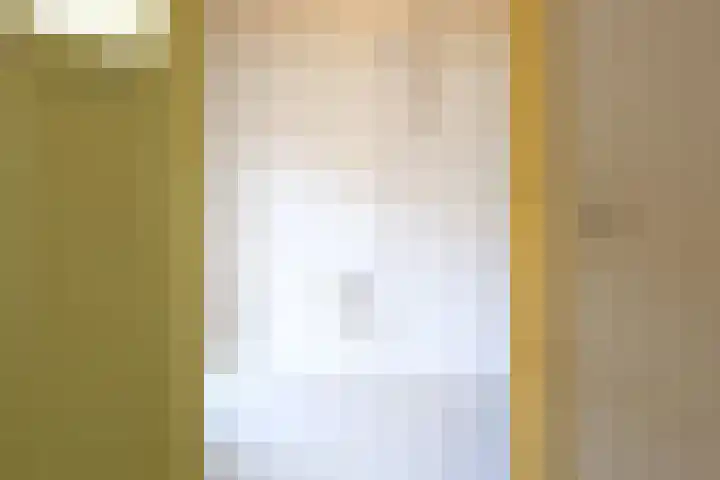 Ranonkelstraat 30 Eindhoven thumbnail 29