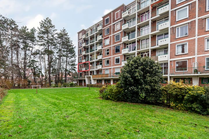 Ranonkelstraat 383 in 's-Gravenhage foto