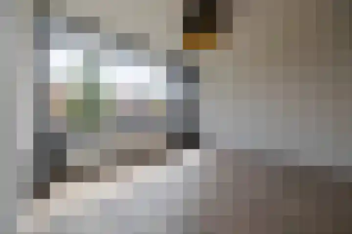 Ranonkelstraat 42 Arnhem thumbnail 16