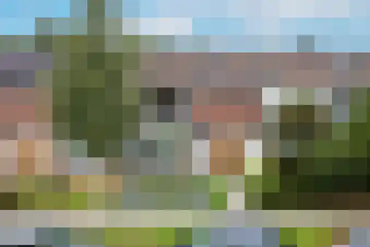Ranonkelstraat 42 Arnhem thumbnail 6