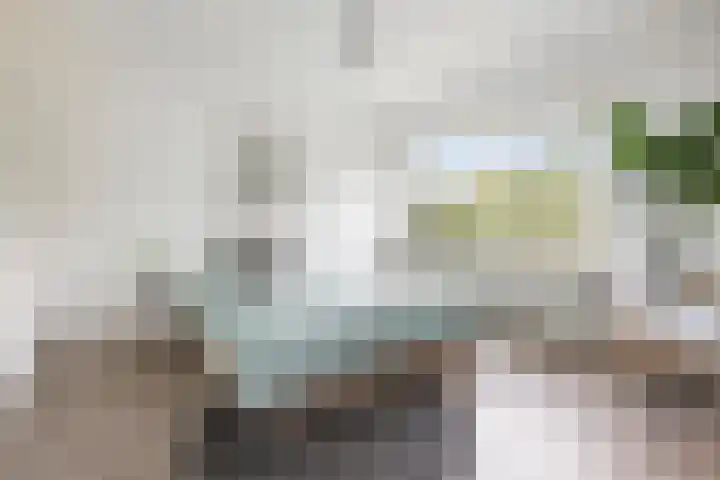 Ranonkelstraat 68 Groningen thumbnail 20