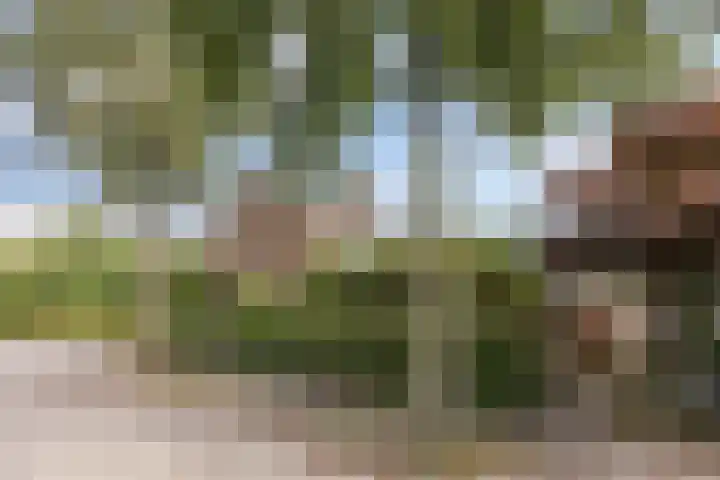 Ranonkelstraat 68 Groningen thumbnail 32