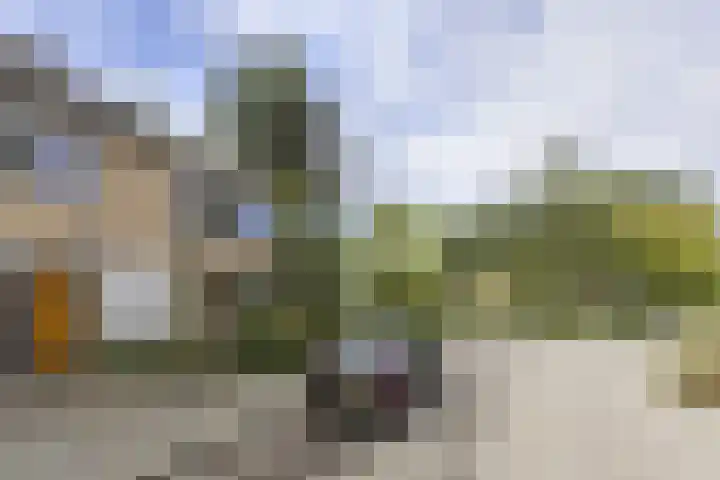 Ranonkelstraat 68 Groningen thumbnail 35