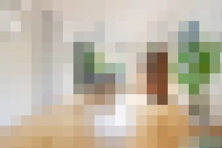 Ranonkelstraat 68 Groningen thumbnail 5