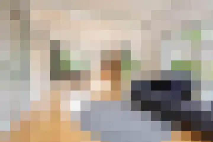 Ranonkelstraat 68 Groningen thumbnail 7