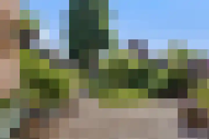 Ranselberg 11 Veldhoven thumbnail 24