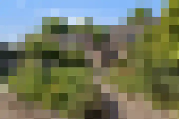 Ranselberg 11 Veldhoven thumbnail 26