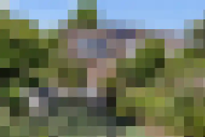 Ranselberg 11 Veldhoven thumbnail 28