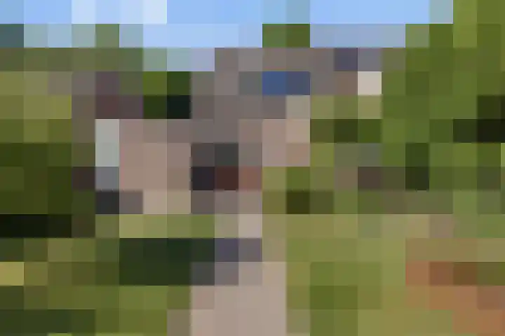 Ranselberg 11 Veldhoven thumbnail 30
