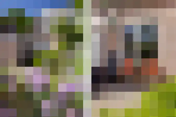 Ranselberg 11 Veldhoven thumbnail 32