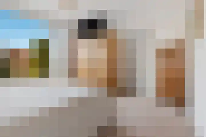 Rapelenburglaan 6 Eindhoven thumbnail 17