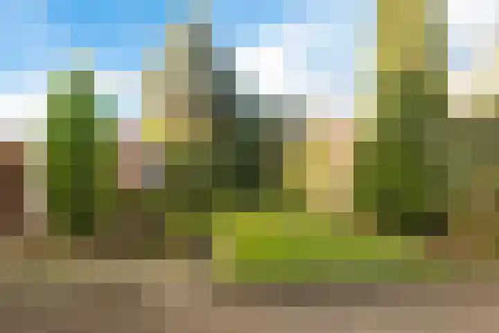 Rapelenburglaan 6 Eindhoven foto 3