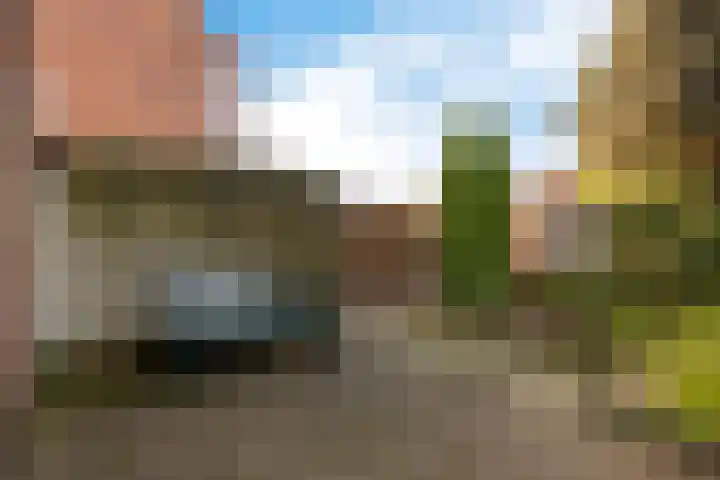 Rapelenburglaan 6 Eindhoven thumbnail 32