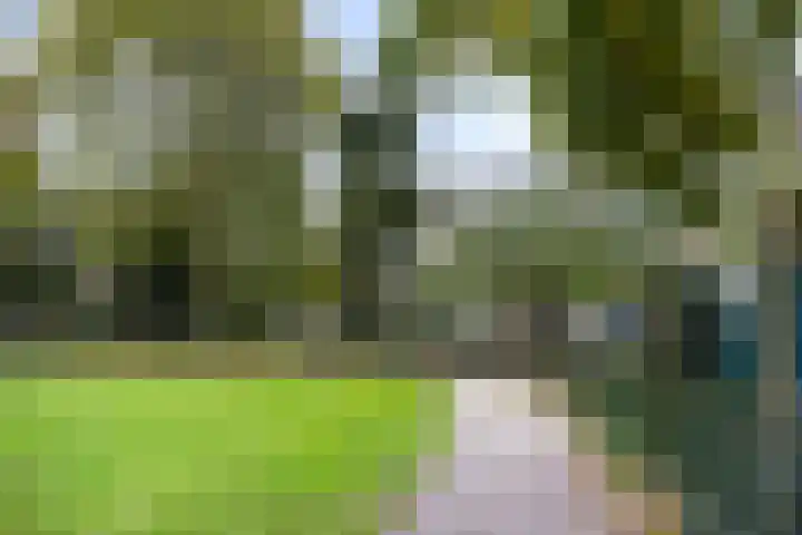 Rapenburg 101 Leiden thumbnail 35
