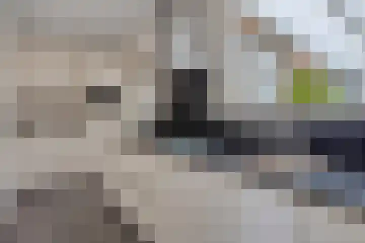 Rapenburg 25 Vogelwaarde thumbnail 10