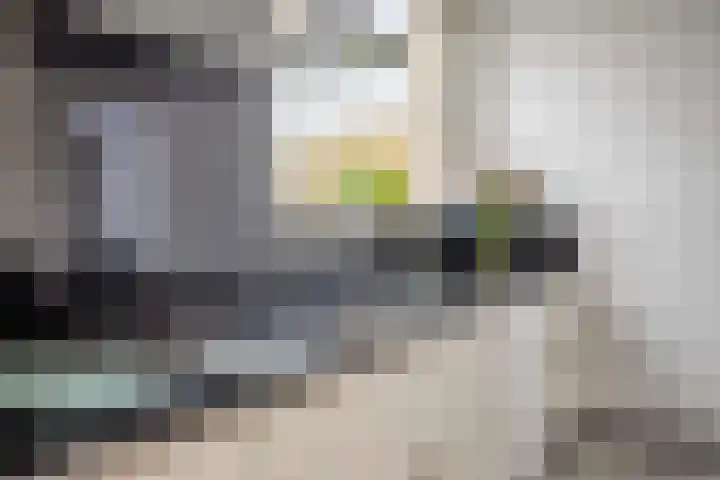 Rapenburg 25 Vogelwaarde thumbnail 13