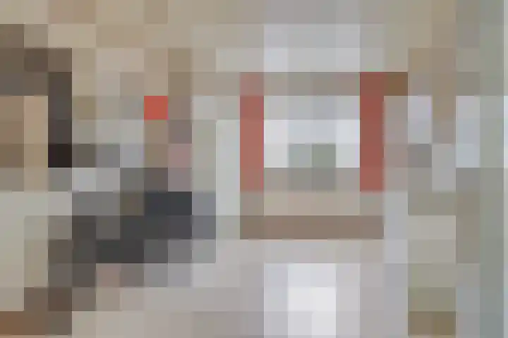 Rapenburg 25 Vogelwaarde thumbnail 15