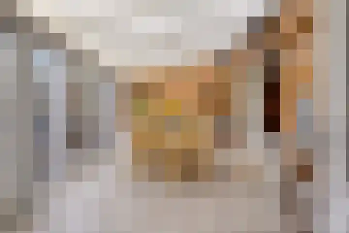 Rapenburg 25 Vogelwaarde thumbnail 16