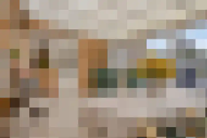 Rapenburg 25 Vogelwaarde thumbnail 17