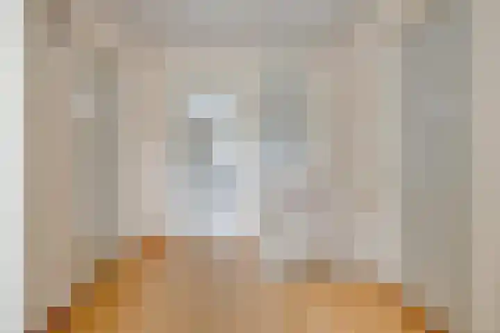 Rapenburg 25 Vogelwaarde thumbnail 18