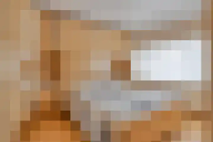 Rapenburg 25 Vogelwaarde thumbnail 20
